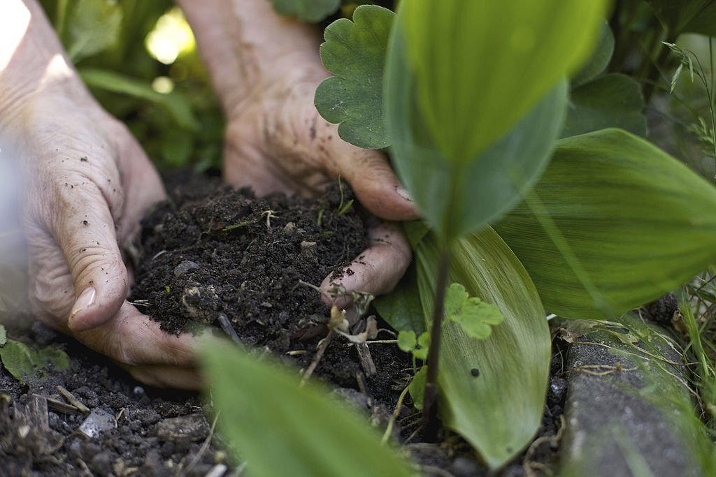 Un suelo saludable conduce a cultivos saludables, a personas saludables