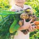 Seleccionando Nutrientes Vegetales Orgánicos: ¿cuáles son los ideales para usted?