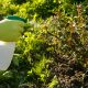 ¿Por qué debería preferir usted los fertilizantes orgánicos para las plantas?